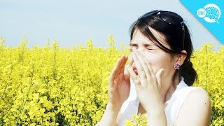 Why Do Some People Sneeze In Sunlight [upl. by Henri]