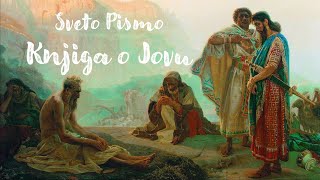 Knjiga o Jovu glava 8 [upl. by Ynaiffit473]