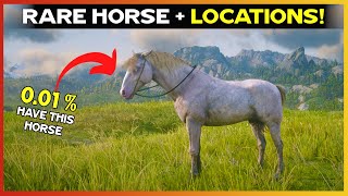 Get RARE Perlino Andalusian Horse with Locations  RDR2 [upl. by Yuria957]