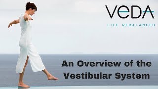 An Overview of the Vestibular System [upl. by Yeloc]