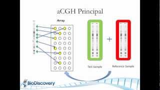 Basic Principles of Array CGH [upl. by Hammock]