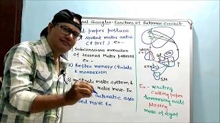 Basal ganglia PartI  Functions of Putamen Circuit [upl. by Gatian950]