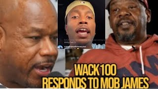 WACK 100 RESPONDS TO MOB JAMES SAYING BRICC BABY not a REAL CRIP NO Jjumper FIGHTS BRICC SNITCHING [upl. by Elisa]