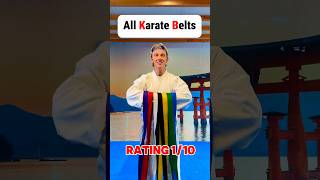 All Karate Belts martialarts shorts [upl. by Na934]