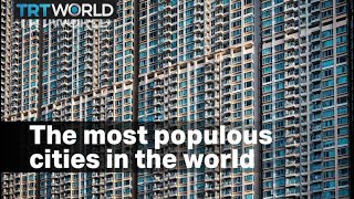 The most populous cities in the world [upl. by Lesnah866]