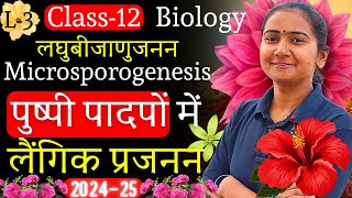 L3 लघुबीजाणुजनन Microsporogenesis  पुष्पी पादपों में लैंगिक प्रजनन Class12th Biology जीवविज्ञान [upl. by Yramliw]