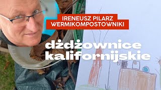 Pierwszy wermikompostownik z palet przygotowany do zimy [upl. by Acinej]