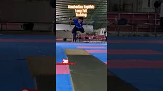 Hapkido Long Fall  Hapkido Championship fighting kungfu hapkido fightingsport martialarts [upl. by Oniger287]