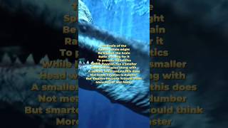 Livyatan vs sperm whale accurate [upl. by Devad819]