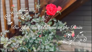 “Do You Still Bloom in the Rain”  Gospel Music Video  Dan amp Amanda  Original Song [upl. by Jakob]