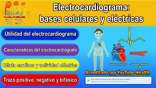 Electrocardiograma interpretación  Electrocardiograma  Electrocardiograma fisiología  Bases [upl. by Lucchesi299]