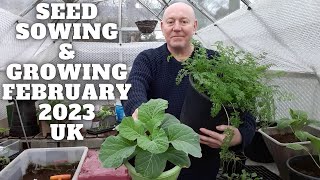 Seed Sowing In February 2023 Gardening Allotment UK Grow Vegetables At Home [upl. by Chev891]