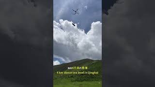 Drone transports materials at 4000 meters above sea level in Qinghaidroneshots transport [upl. by Aseeram]