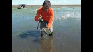 Tararira  Pesca deportiva Embalse India Muerta Rocha Uruguay parte 2 [upl. by Terzas]