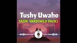 TUSHY UWAHO TASIK YARD wild pack2024 png latest music 🇵🇬 [upl. by Wiltshire513]