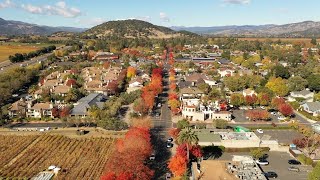 Stunning Aerial View of Yountville Napa Valley in Autumn [upl. by Ardelis]