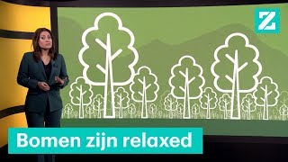 We moeten 1 biljoen bomen planten voor het klimaat • Z zoekt uit [upl. by Osrick]