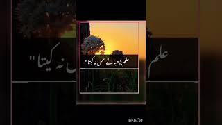 othy amla dy hony ny by nusrat fateh full lyricsyoutube shortvideo [upl. by Homerus]