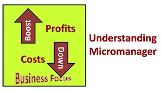 Understanding Micromanager [upl. by Januarius947]