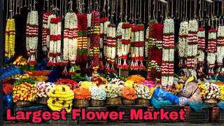 Largest Flower Market  City Market  Bangalore [upl. by Elegna]