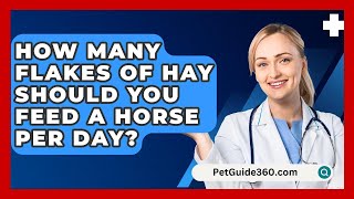 How Many Flakes of Hay Should You Feed a Horse Per Day  PetGuide360com [upl. by Vorfeld]