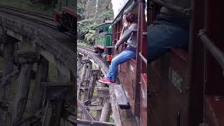 Puffing Billy  A Breathtaking Adventure Riding the Rails through the Dandenong Ranges  May 2017 [upl. by Jago]