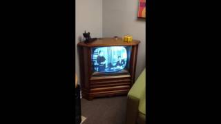 Watch a Philco Predicta quotCornerquot TV [upl. by Abehsat173]