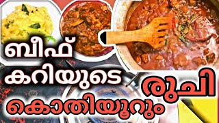 നാടൻ ബീഫ് കറി  Kerala pothu curry Best Recipes [upl. by Body81]