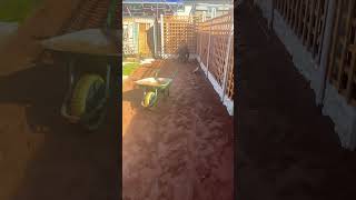 Screeding for block paving patio area like subscribe [upl. by Miranda548]