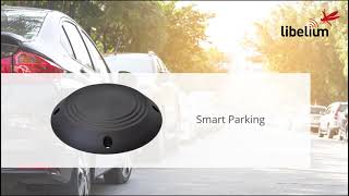 Webinar Smart Parking  Libelium [upl. by Rammus]