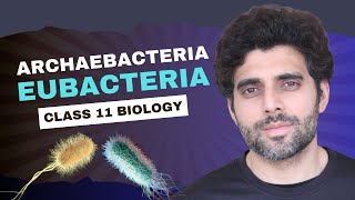 Archaebacteria amp Eubacteria  Class 11 Biology  NEET [upl. by Robillard370]