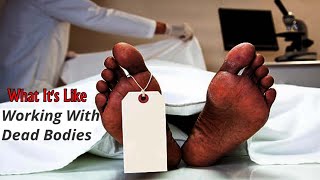 What Its Like Working With Dead Bodies  he Truth About Working with the Deceased [upl. by Base345]