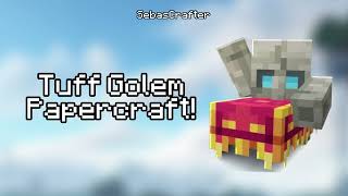 HICE AL TUFF GOLEM DE MINECRAFT EN PAPERCRAFT  SebasCrafter [upl. by Yelnikcm185]