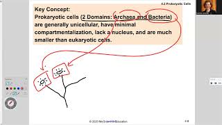 181 Ch2 Basic Cell Structure [upl. by Roberts468]