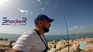 PESCA SURFCASTING CAPTURA DE PEZ LORO [upl. by Shyamal]