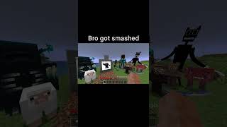 Minecraft Meme [upl. by Anaej705]