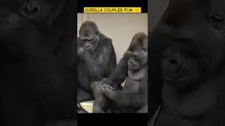 Gorilla Couples Fun 😊🦍😁 monkey gorillalove gorillafun [upl. by Emanuela]