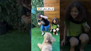 مين خاف من التاني ؟ الكلب أو نايا و علي😅 shortvideo viralvideo explorepage [upl. by Trubow]