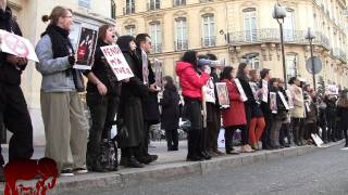 Rassemblement anti fourrure Avenue Montaigne 14012012 [upl. by Micro996]