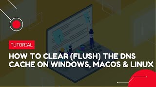 How to clear flush the DNS Cache on Windows macOS and Linux  VPS Tutorial [upl. by Artcele994]