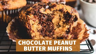 High Protein Muffins recipe made with Pinole Chia Oatmeal  Amazing Chocolate Peanut Butter Muffins [upl. by Yelraf]