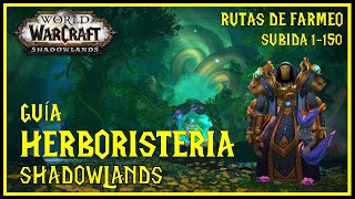 🌿 Guía Herboristería Shadowlands 90 🌿  Guías Variadas [upl. by Ahcatan202]