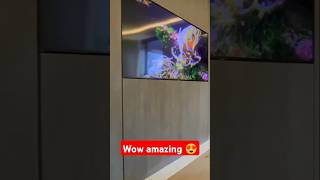 Wow amazing 😍 TV wall design ❤️ shorts shortsfeed youtubeshorts [upl. by Moersch]