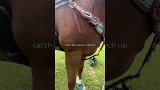 2 day riding vlog on a new horse [upl. by Josie]