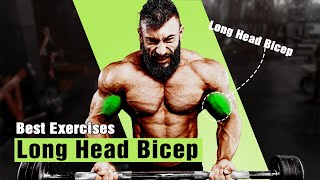 BEST LONG HEAD BICEP EXERCISES FOR MASSIVE ARMS [upl. by Odnomra308]