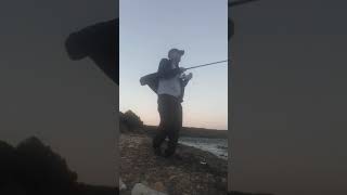 Marukyu isome ile surf casting [upl. by Susannah]