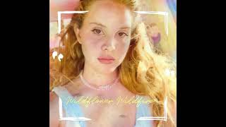 Lana Del Rey  Wildflower Wildfire Official Audio [upl. by Tai]