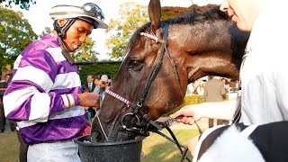 TVBeitrag Preis der Deutschen Einheit in BerlinHoppegarten [upl. by Yecac714]