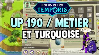 DOFUS RETRO  TEMPORIS  UP 190  METIER FORGEMAGIE amp OBTENTION DU DOFUS TURQUOISE  🥳 [upl. by Aihsetan564]