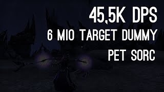 455k DPS 6mil Target Dummy Pet Sorc  Dragon Bones PTS [upl. by Legnaesoj]